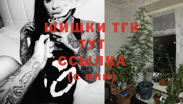 mdpv Алзамай