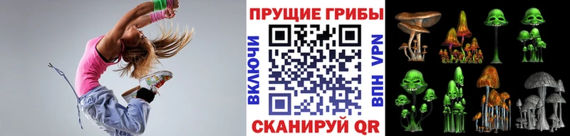 Галлюциногенные грибы Psilocybe Курчалой